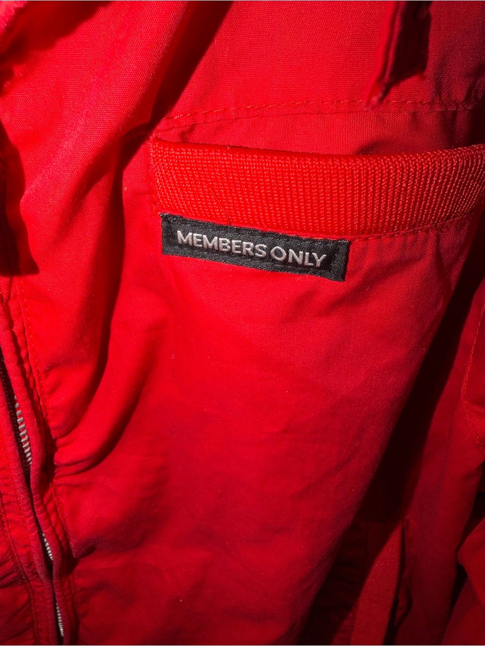 Zip jacket - Picture 5 of 5